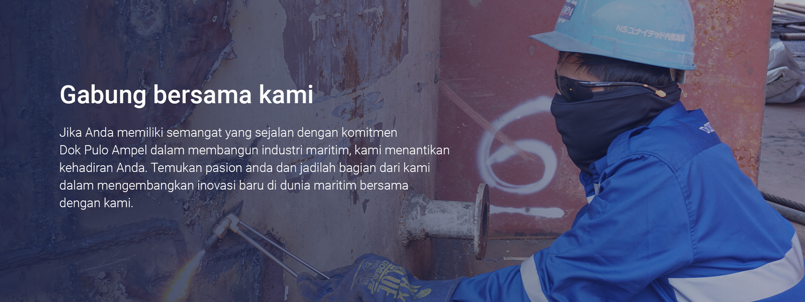banner-career-btm